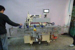 CL-1066 C DETERGENT LABELING 